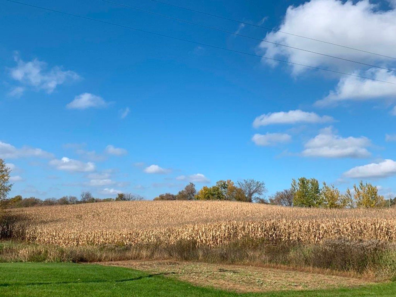 Image for 54+/- Acres Ag Land (2 Parcels) - Amery, WI