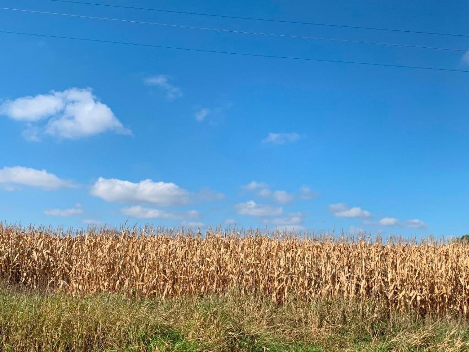 Image for 54+/- Acres Ag Land (2 Parcels) - Amery, WI