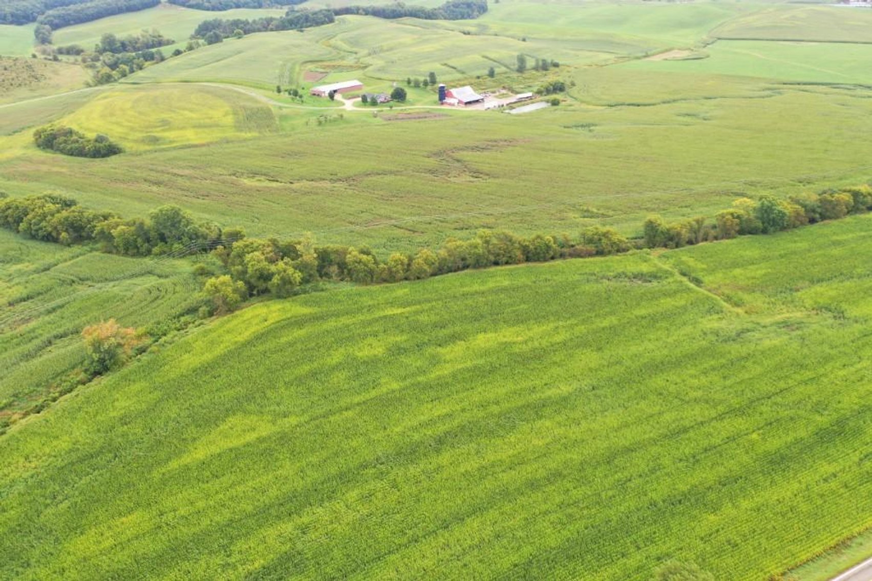 Image for 229 (+/-) Acres Trempealeau County Prime Ag Land - Independence, WI