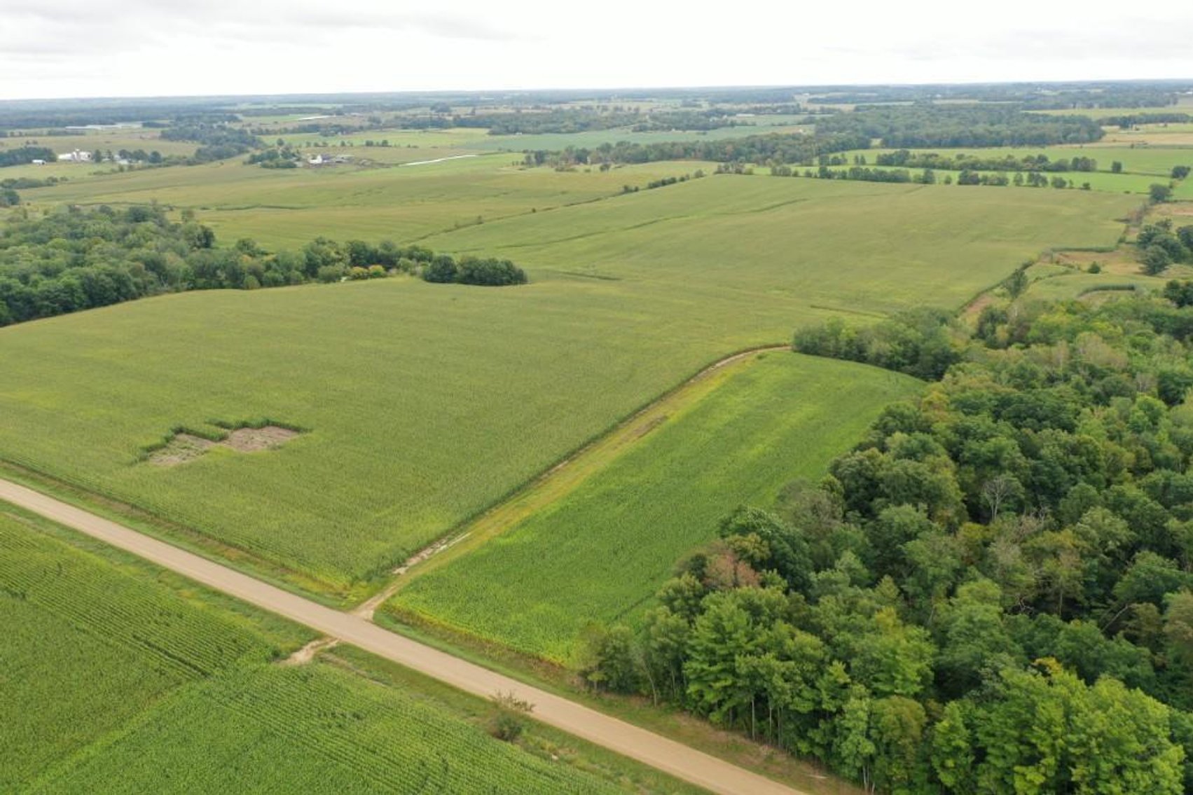 Image for UPDATE! WINDMILL CONTRACT ON ALL PARCELS. St. Croix Co. Dairy Farm 235 (+/-) Acres (4 Lots) - Forest, WI