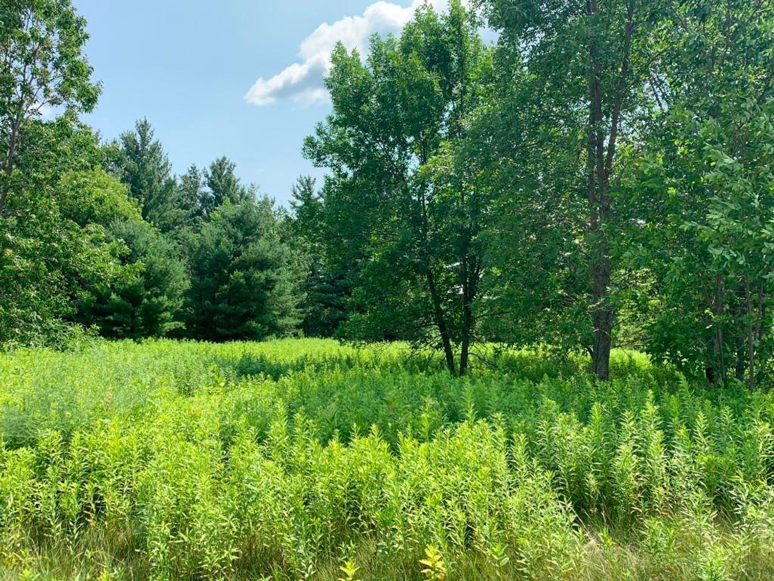 Image for Prime Ag & Commercial Real Estate (3 Lots) - Rice Lake, WI