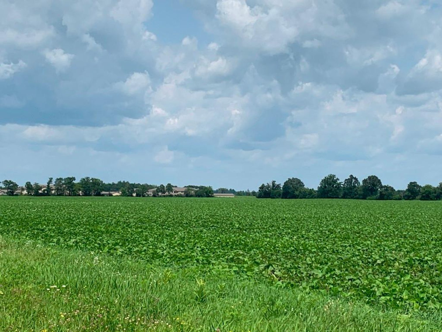 Image for Prime Ag & Commercial Real Estate (3 Lots) - Rice Lake, WI