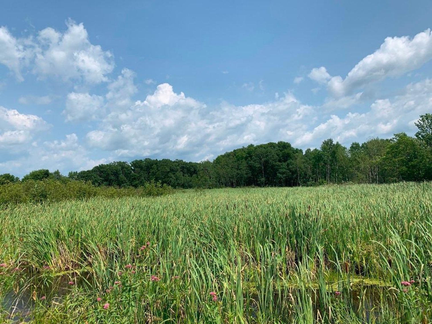 Image for Prime Ag & Commercial Real Estate (3 Lots) - Rice Lake, WI