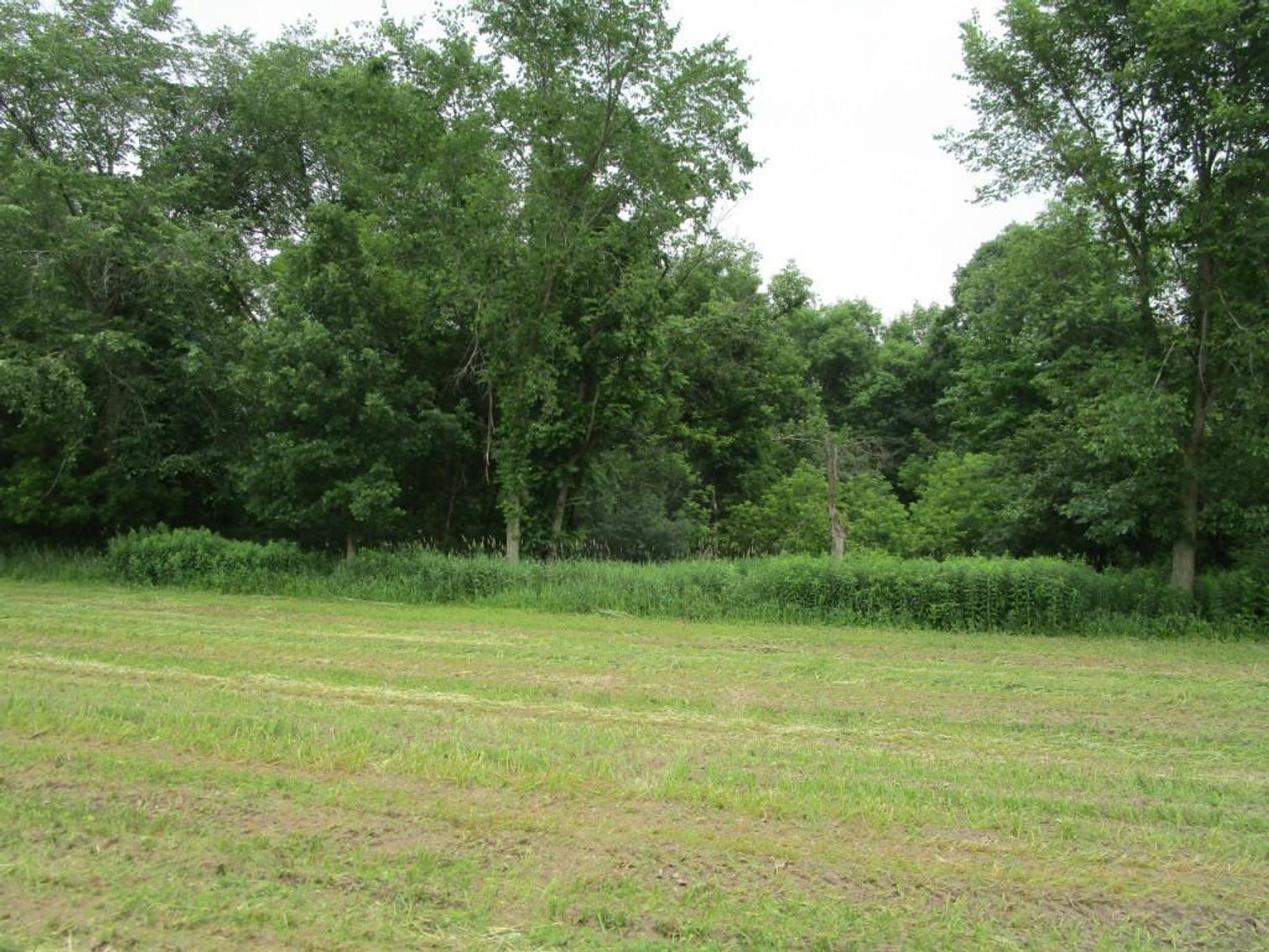 Image for 2 BR 2 BA Home on Approx. 3 (+/-) Acres & Approx. 37 (+/-) Acres Ag Land - Prairie Farm, WI