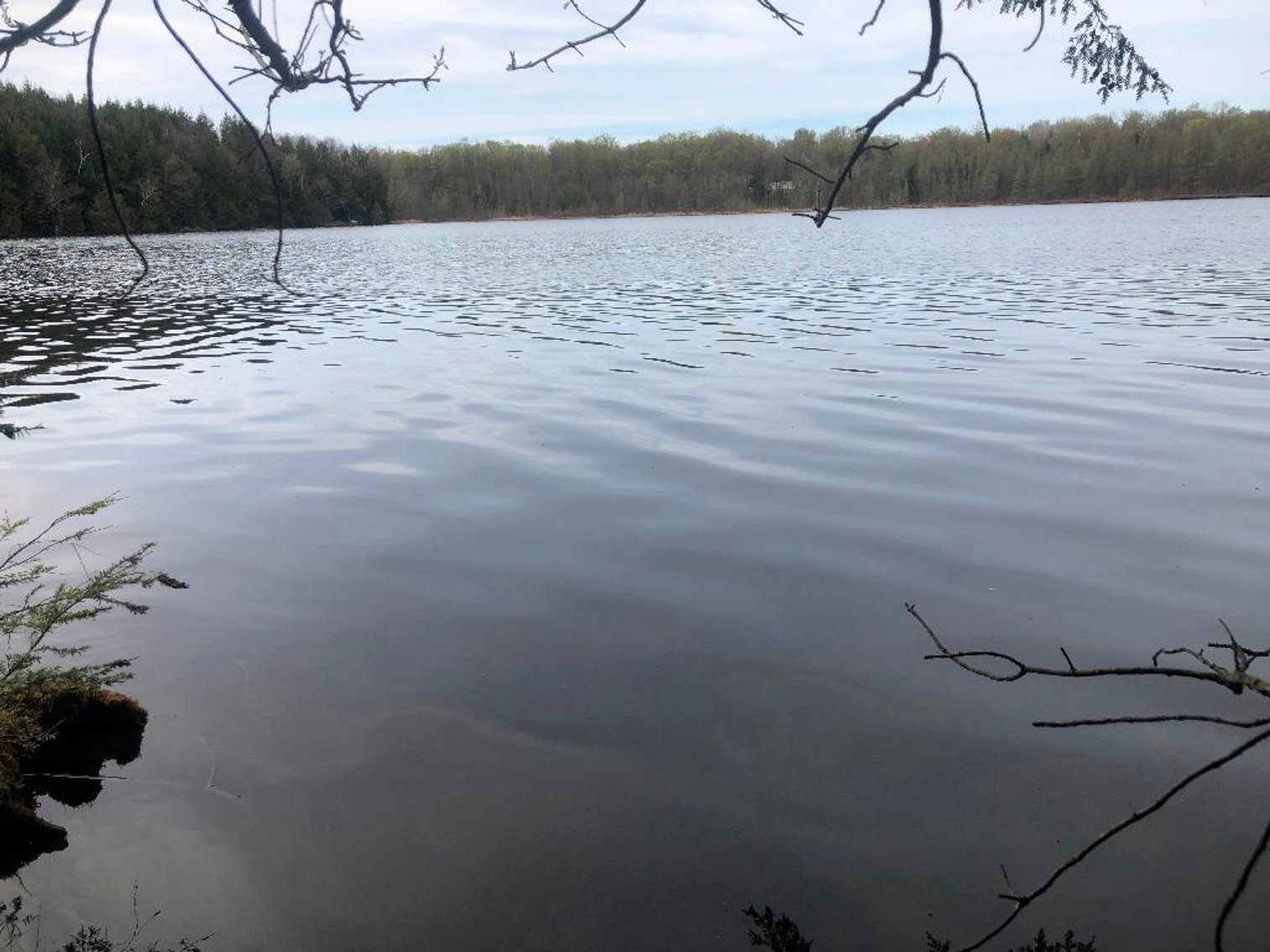 Image for 3 Vacant Lots on Dark Lake - Langlade, WI