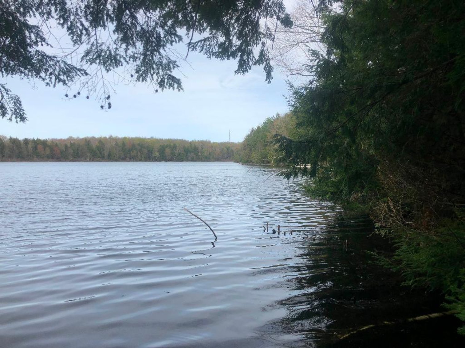 Image for 3 Vacant Lots on Dark Lake - Langlade, WI