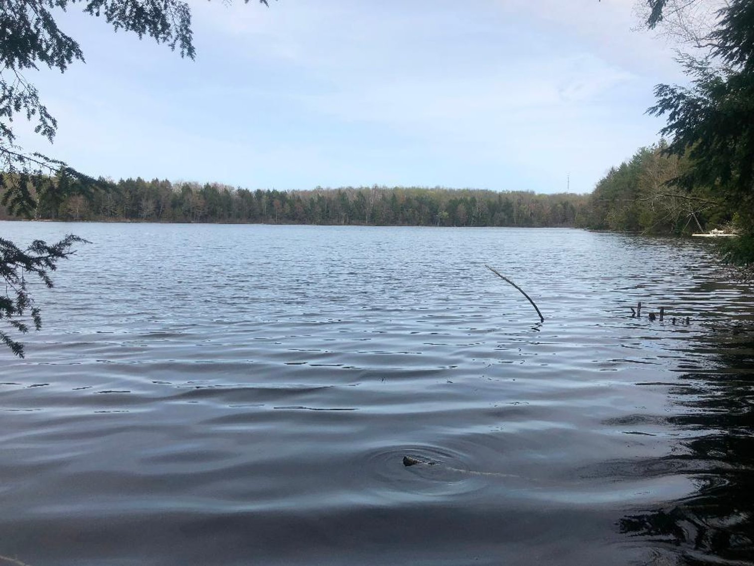 Image for 3 Vacant Lots on Dark Lake - Langlade, WI