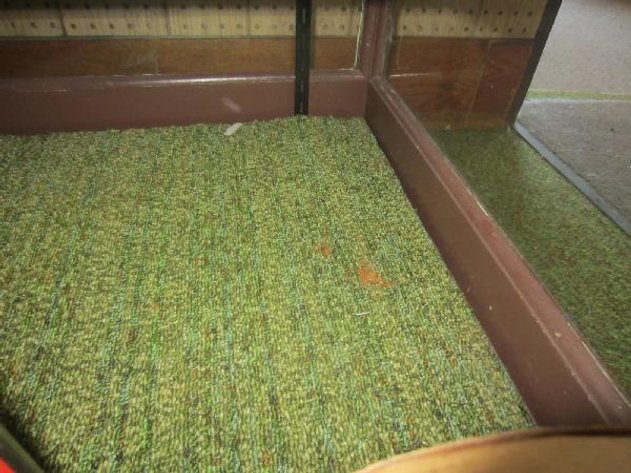 Image for Wood Framed Lighted Display Case, Includes New Ballast, Content is Not Included