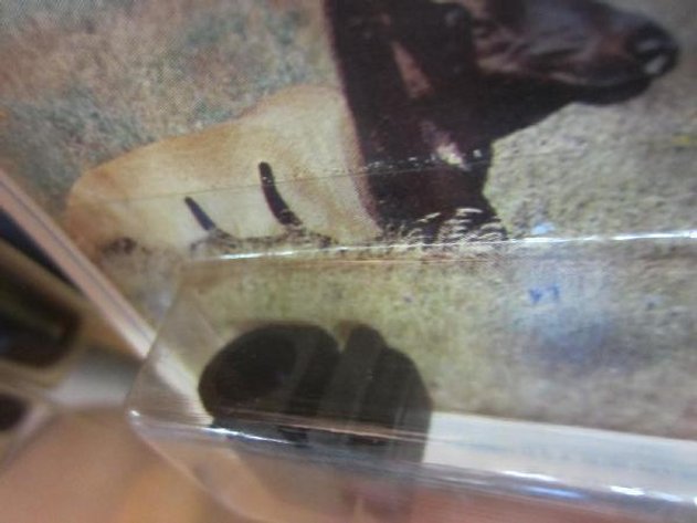 Image for Misc. Archery Products