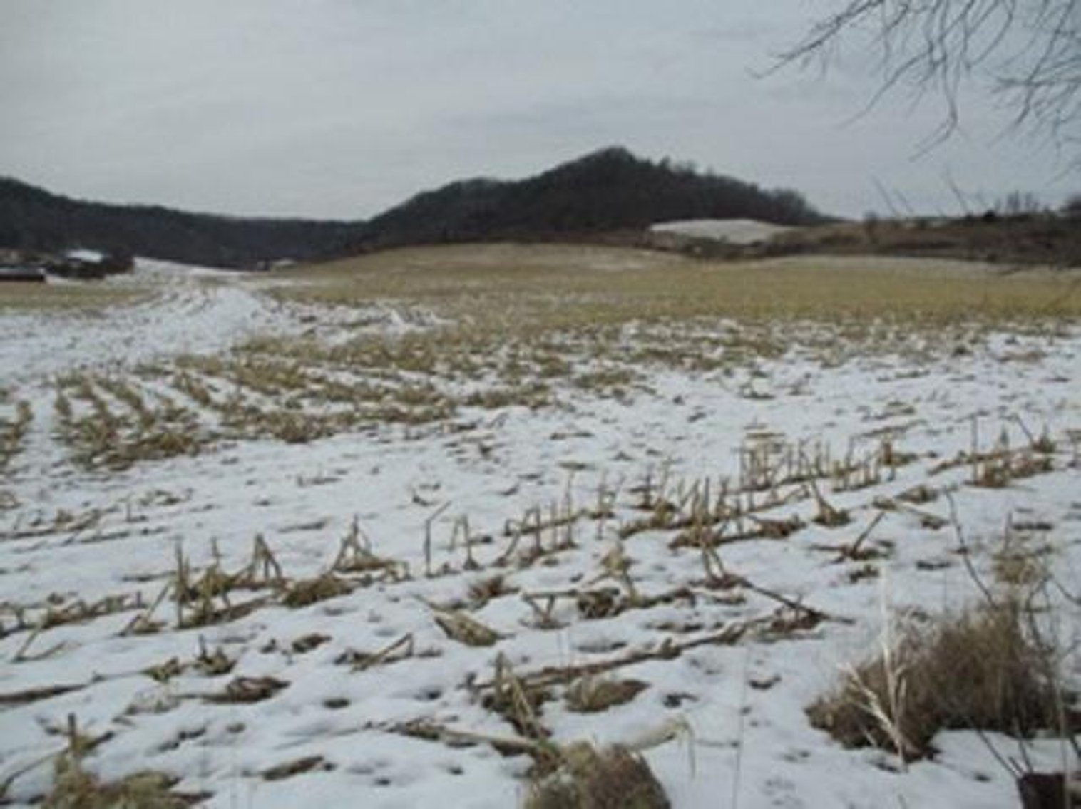 Image for Vacant Land Offered in 3 Parcels - Richland Center, WI