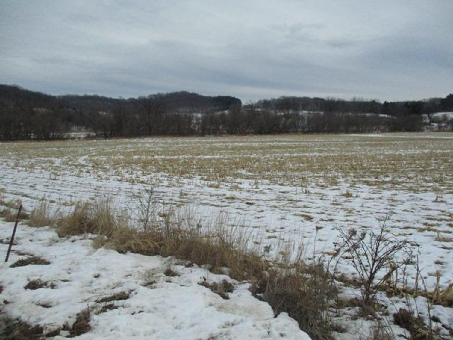Image for Vacant Land Offered in 3 Parcels - Richland Center, WI