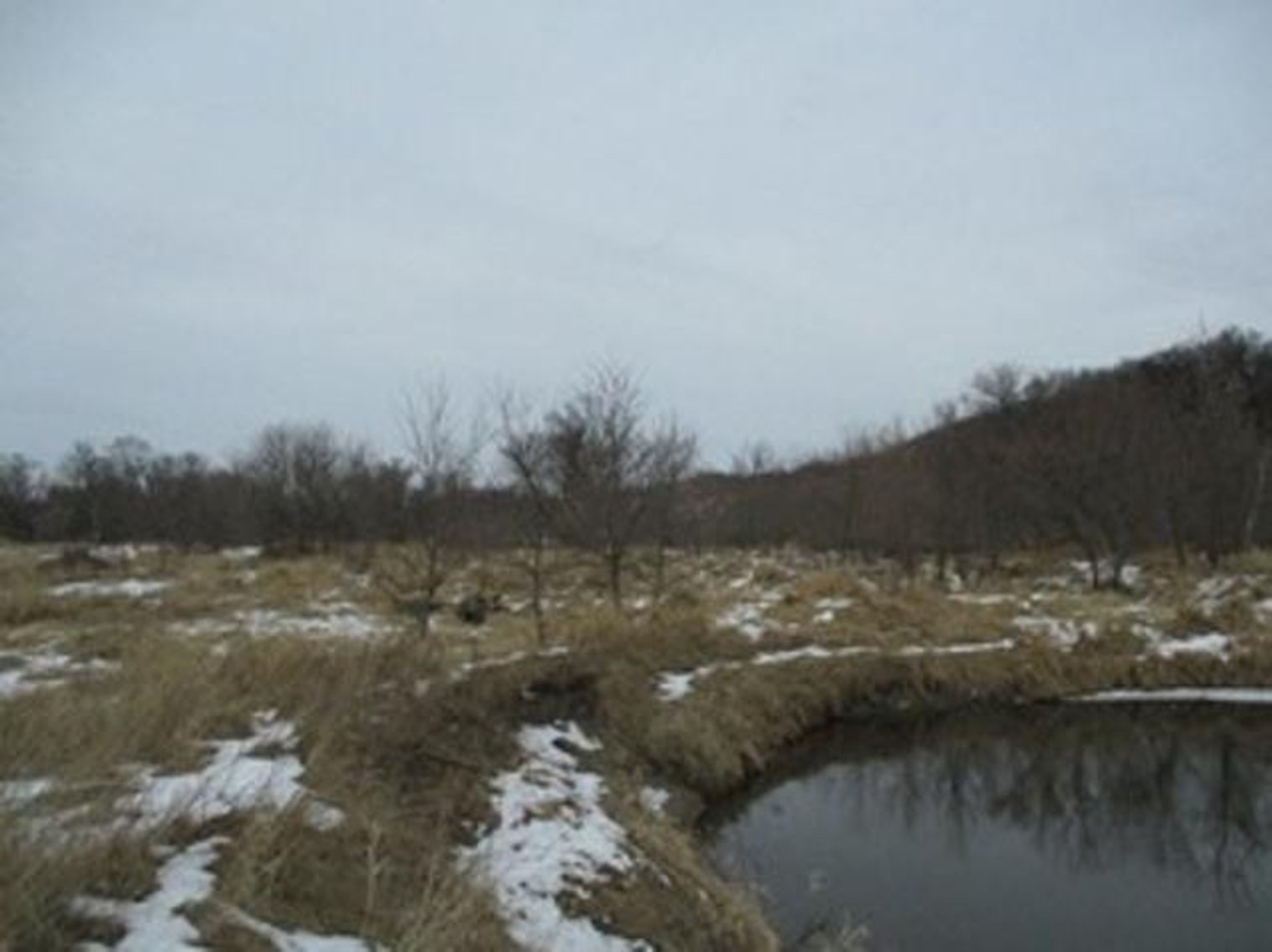 Image for Vacant Land Offered in 3 Parcels - Richland Center, WI