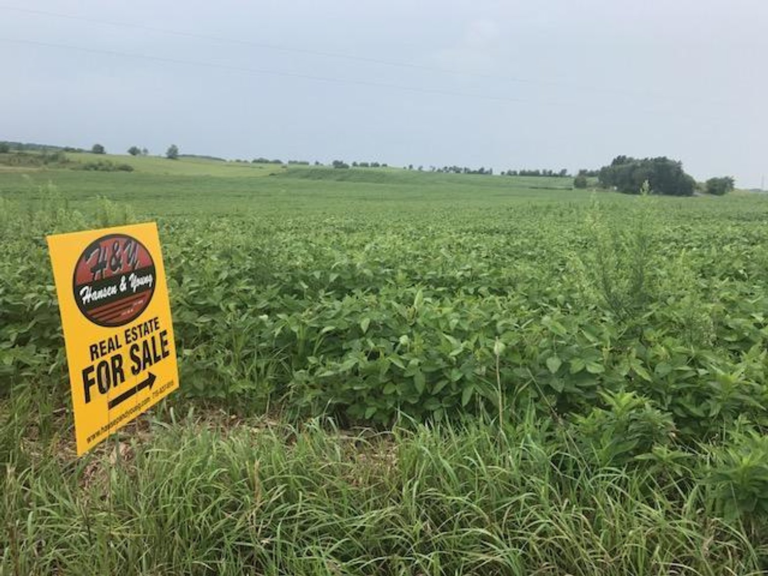 Image for 38 Acres - Dallas, WI