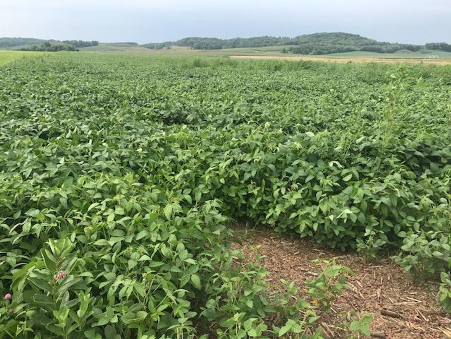 Image for 14 Acres - Sioux Creek, WI