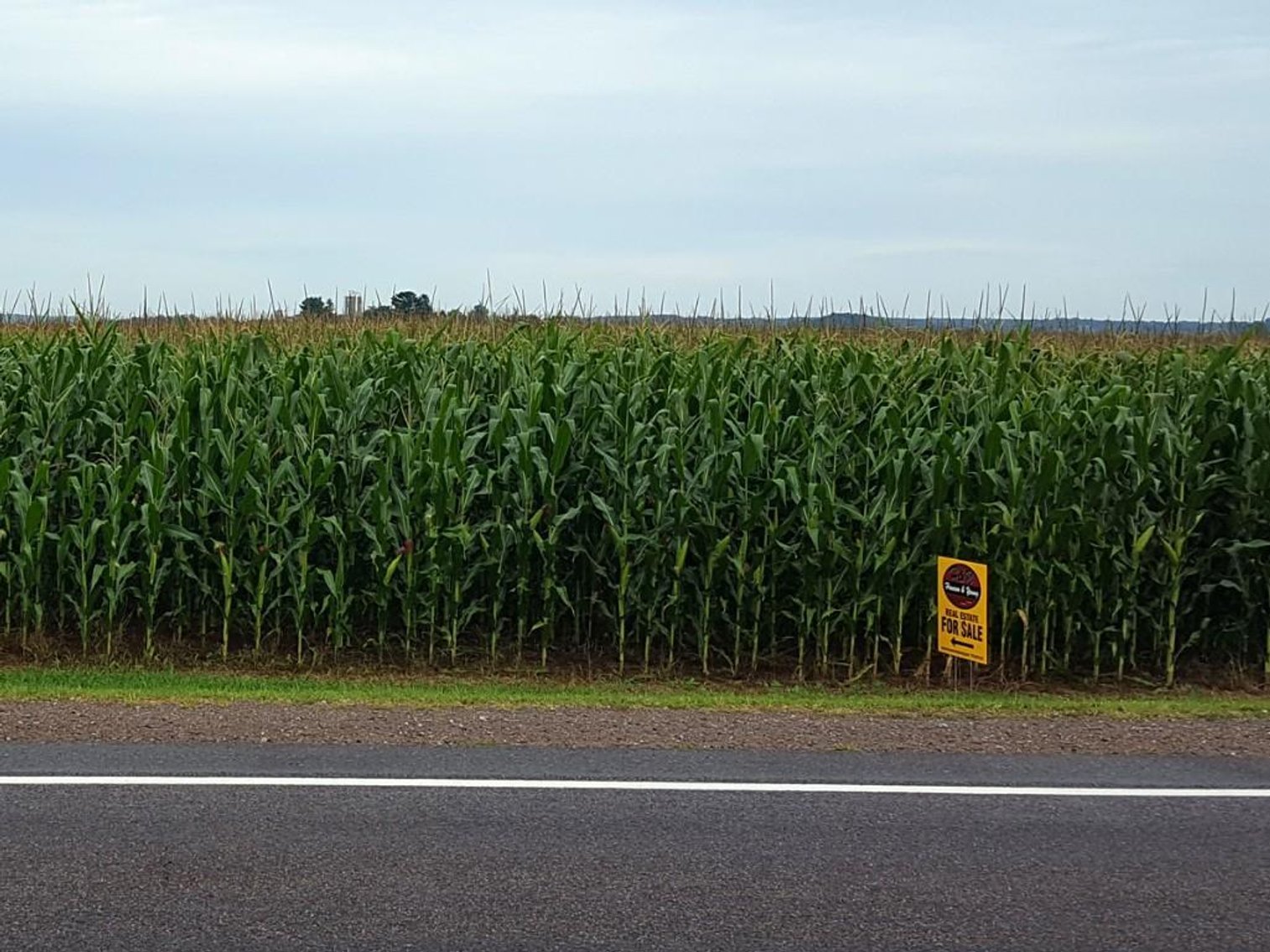 Image for 90 Tillable Acres - Ridgeland, WI