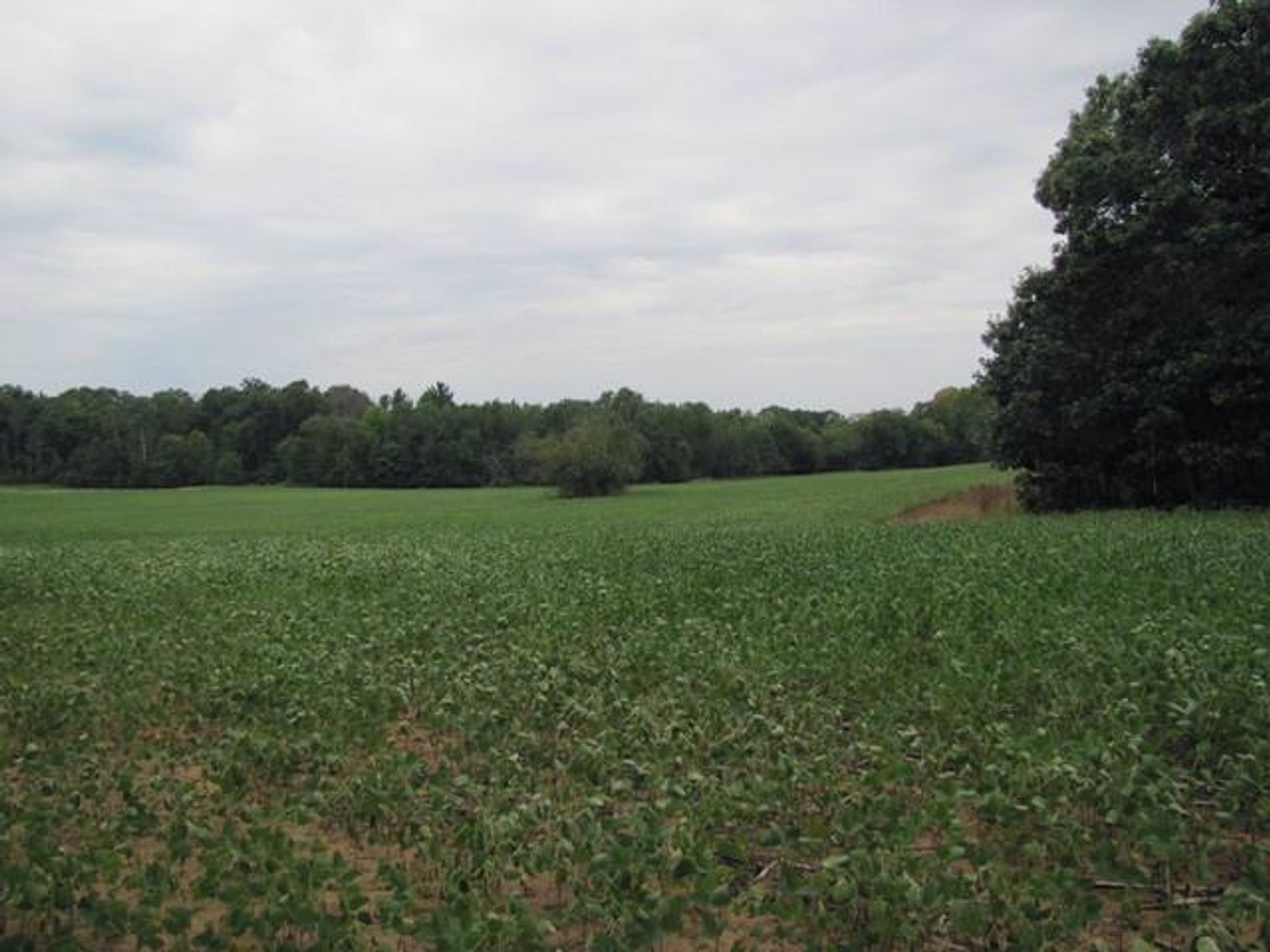 Image for 100 Acre Hobby Farm or Recreational Getaway - New Lisbon, WI