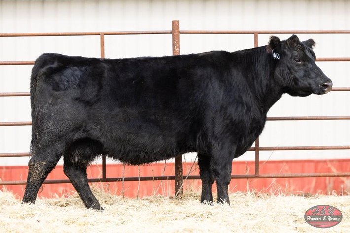 Image for Black Graduate Barron F518 - Female