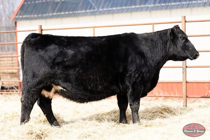 Image for Black Graduate Barron F520 - Female/Pair