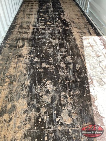 Image for 40' High Cube Container - #ZXJU-0256493 - New