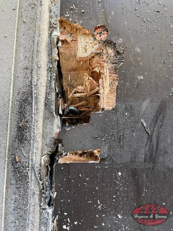 Image for 40' High Cube Container - #ZNCU-4008632 - New