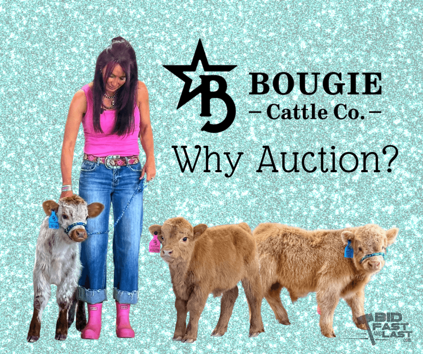 Image for Autumn Mini Cow Auction