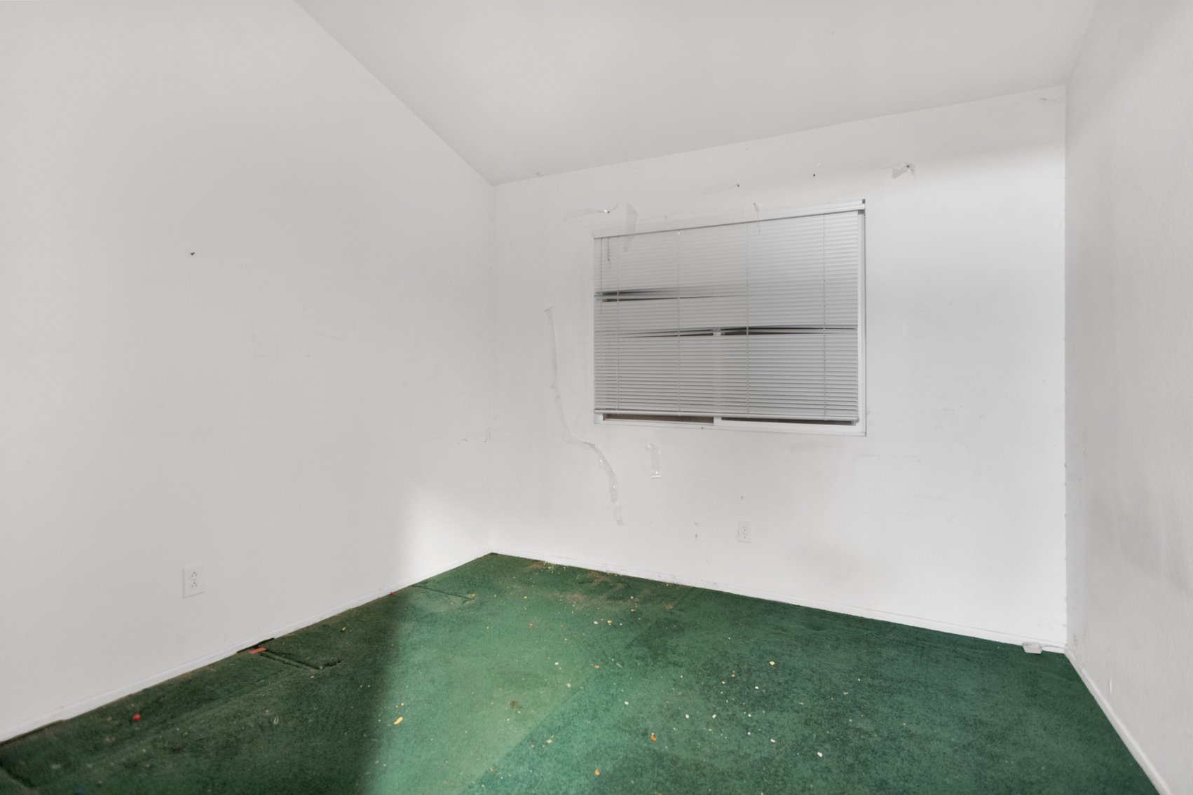 Image for Potential in a Prime Spot