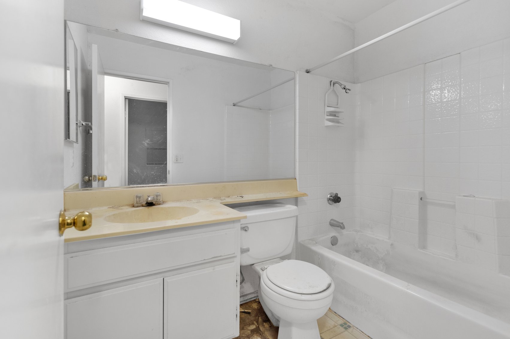 Image for Potential in a Prime Spot