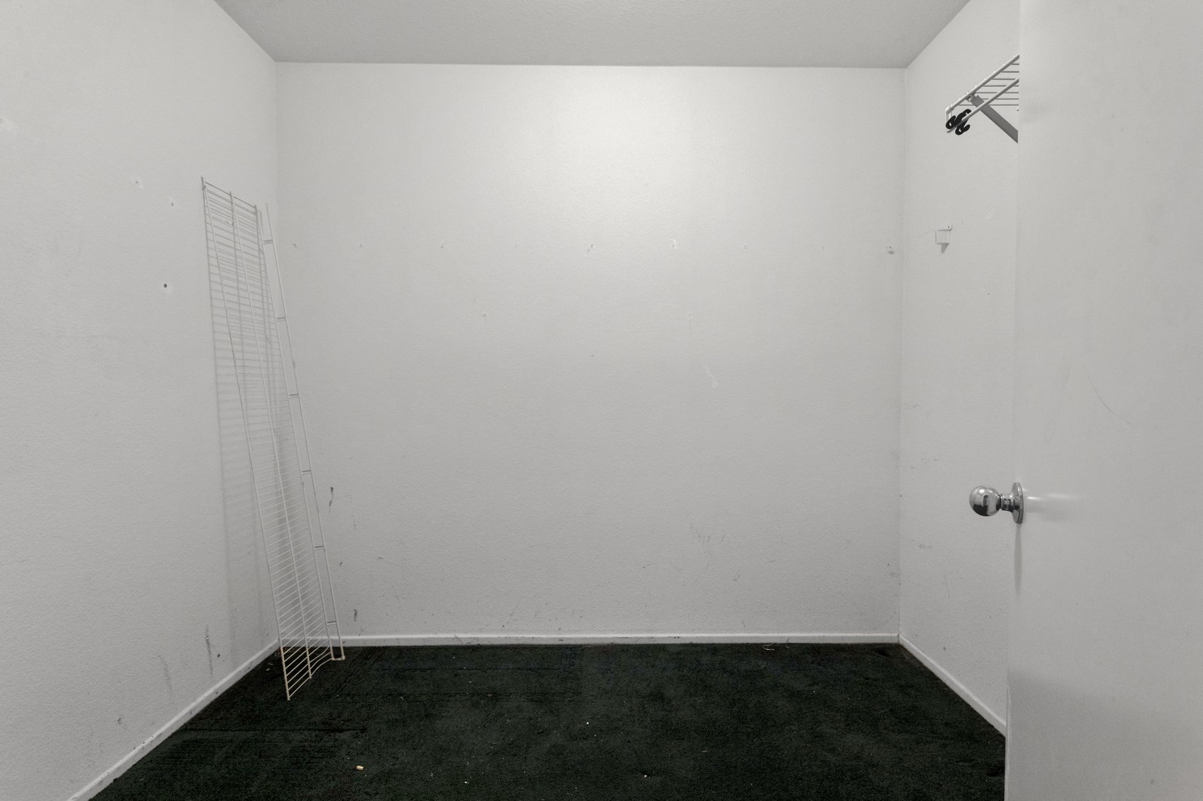 Image for Potential in a Prime Spot