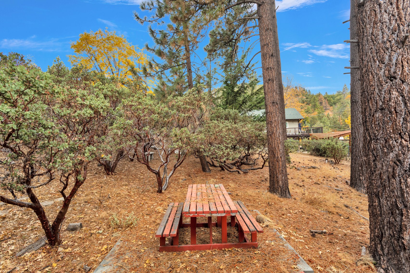 Image for Idyllwild Mountain Retreat