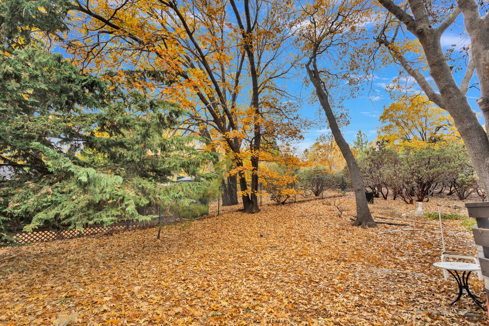 Image for Idyllwild Mountain Retreat