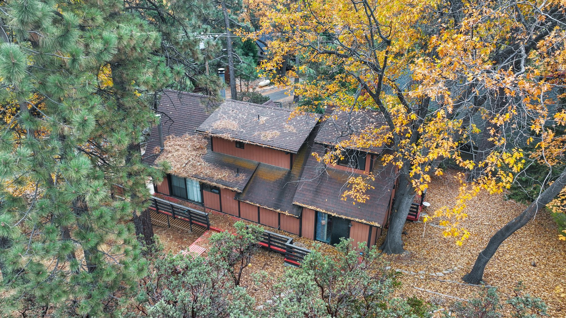 Image for Idyllwild Mountain Retreat