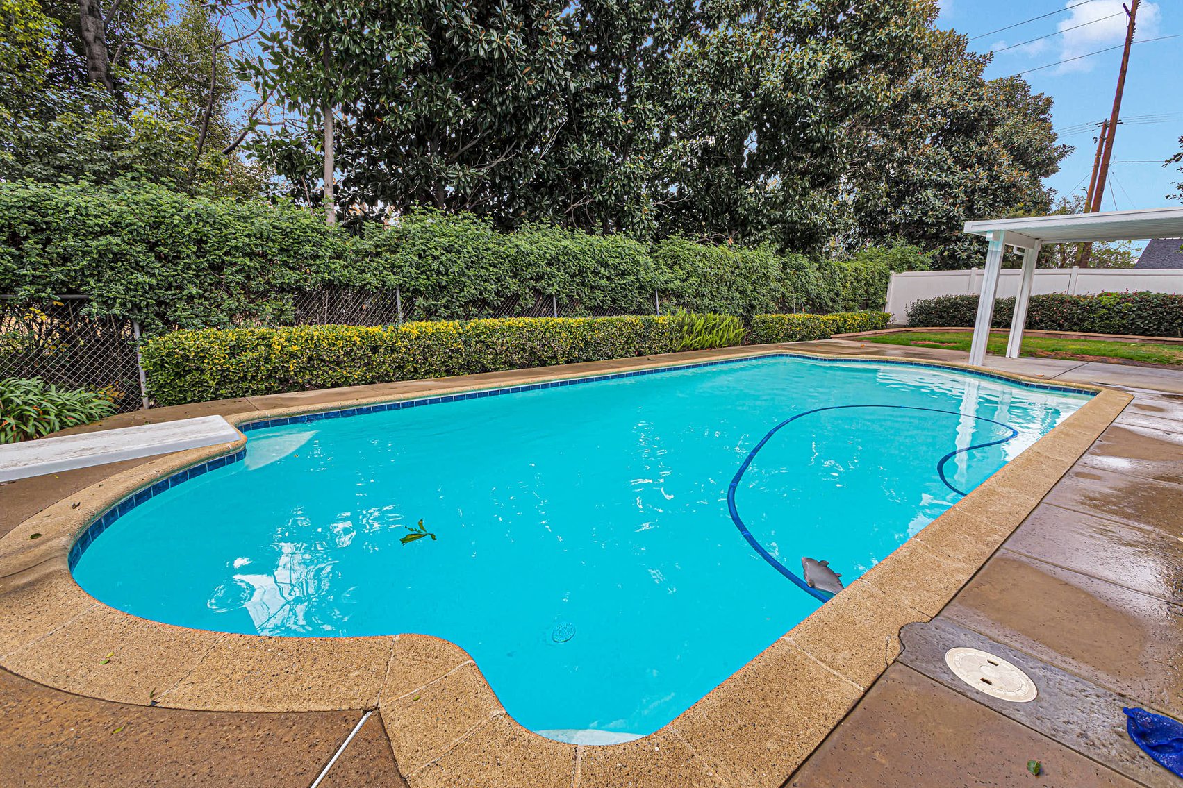 Image for Chino Poolside Paradise