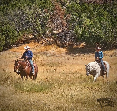 Image for Graham's Silver Bits, Silver Spurs and Western Collection Auction