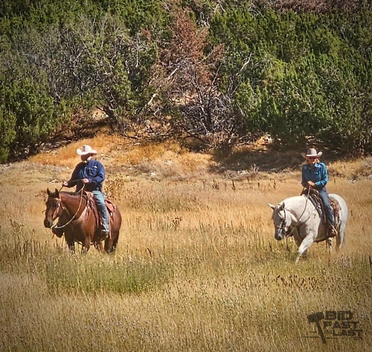 Image for Graham's Silver Bits, Silver Spurs and Western Collection Auction