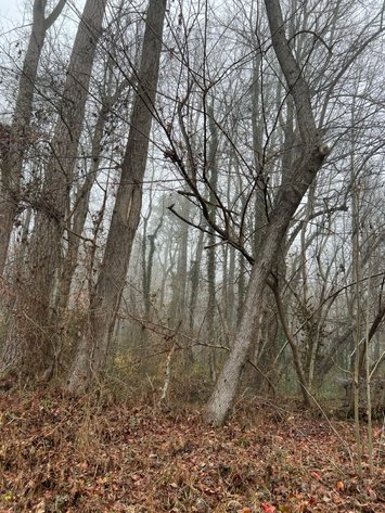 Image for County of Sussex VA Sale of Tax Delinquent Real Estate