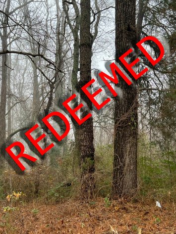 Image for County of Sussex VA Sale of Tax Delinquent Real Estate