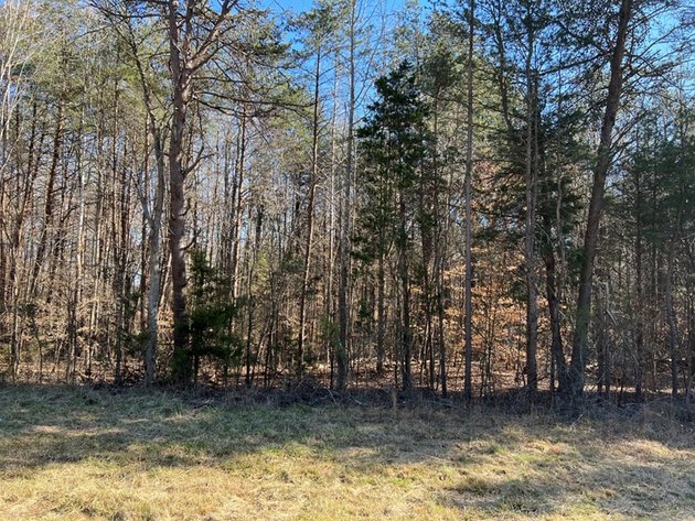 Image for Cumberland County, VA Sale of Tax Delinquent Real Estate