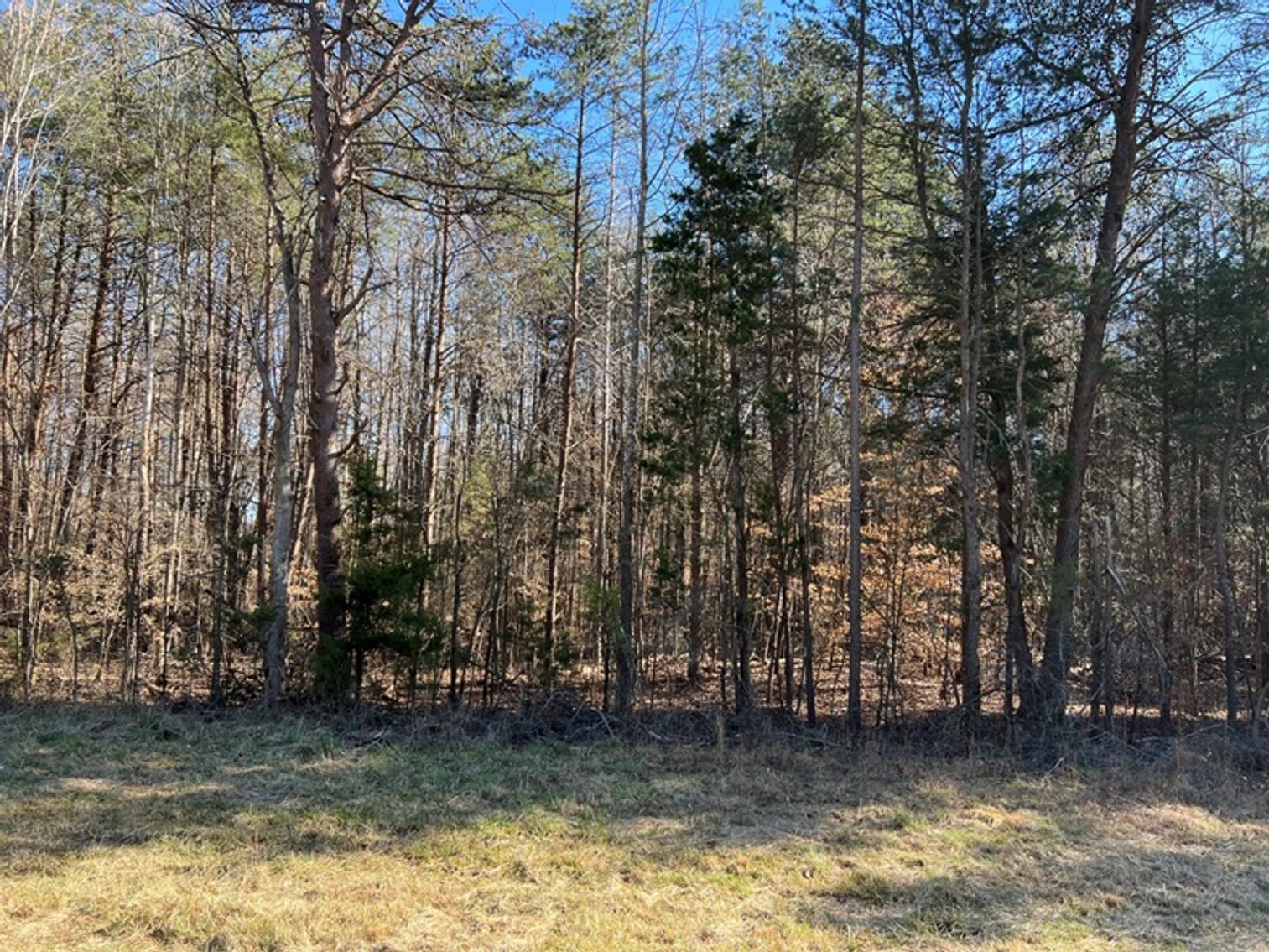 Image for Cumberland County, VA Sale of Tax Delinquent Real Estate