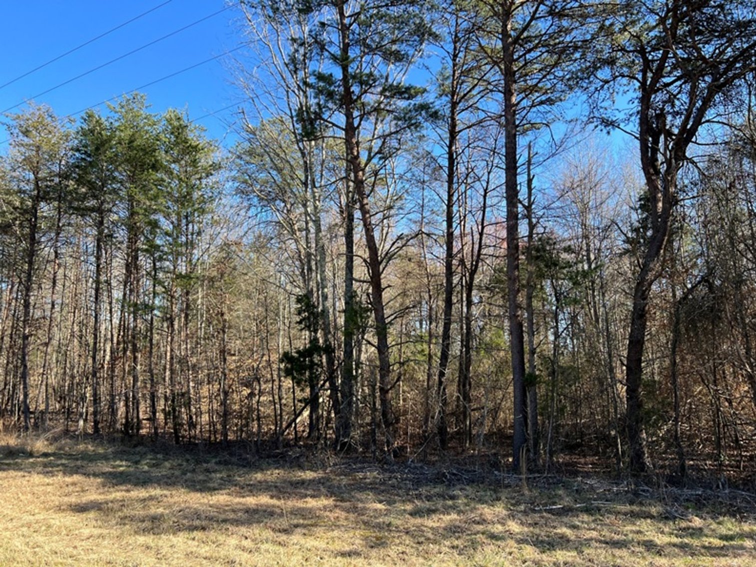 Image for Cumberland County, VA Sale of Tax Delinquent Real Estate