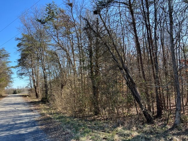 Image for Cumberland County, VA Sale of Tax Delinquent Real Estate