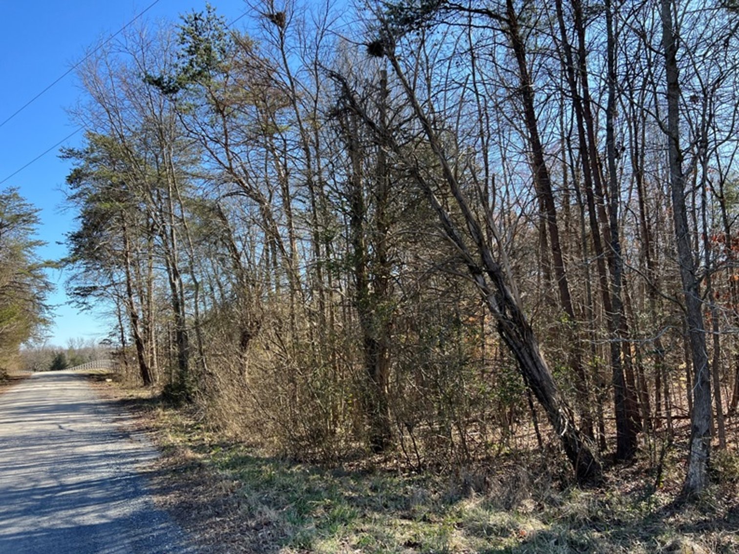 Image for Cumberland County, VA Sale of Tax Delinquent Real Estate