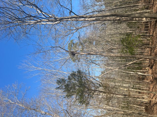 Image for James City County, VA Sale of Tax Delinquent Real Estate