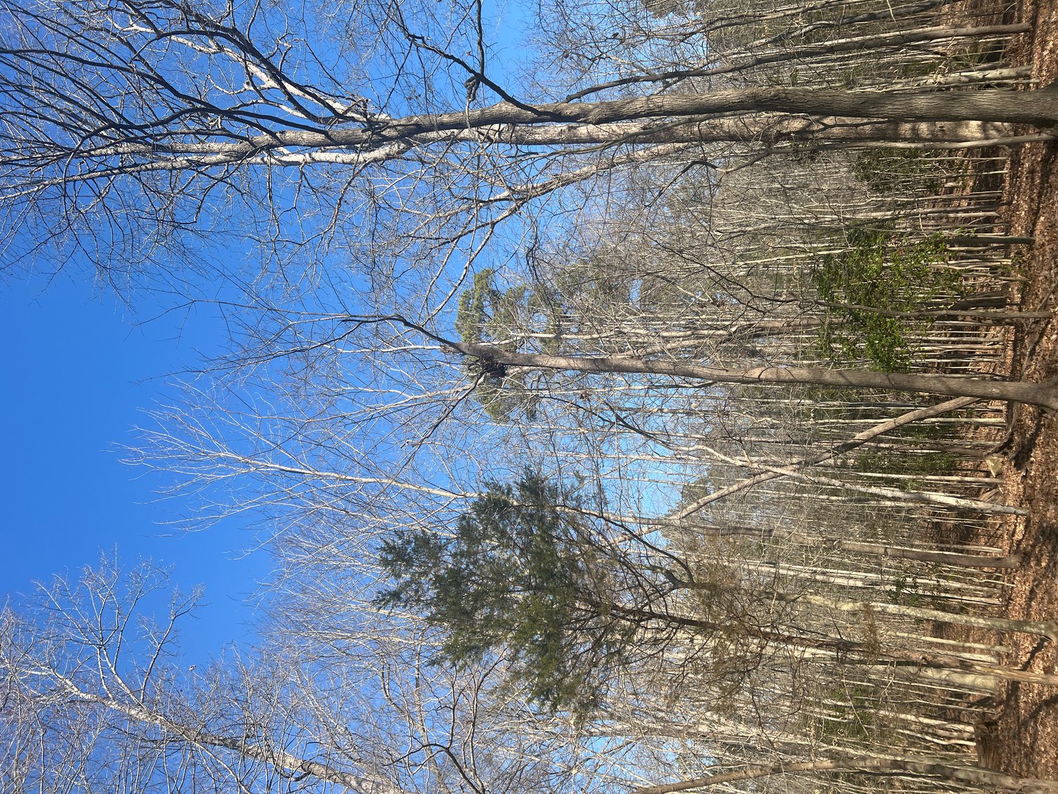 Image for James City County, VA Sale of Tax Delinquent Real Estate