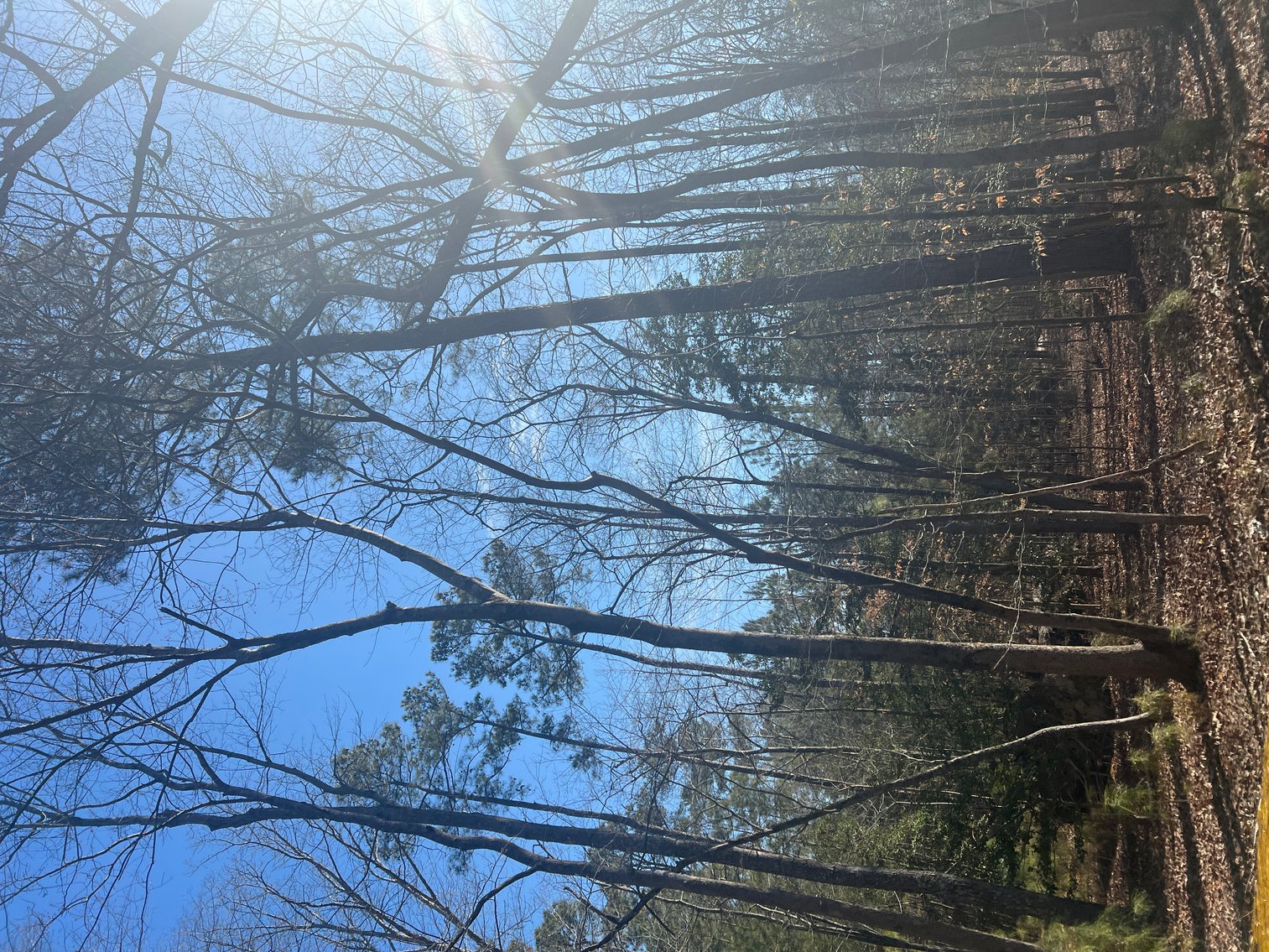 Image for James City County, VA Sale of Tax Delinquent Real Estate