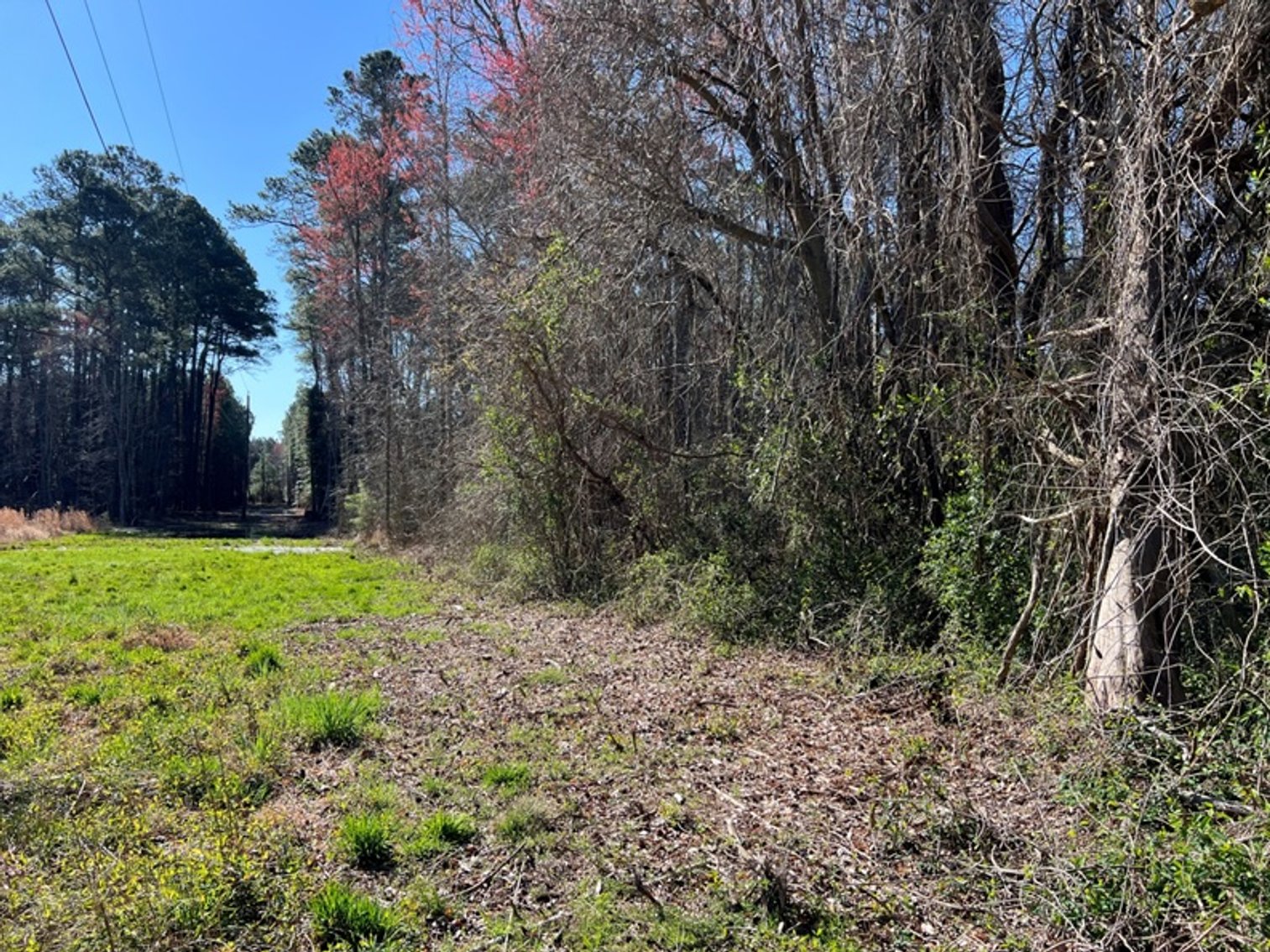 Image for Mathews County, VA Sale of Tax Delinquent Real Estate