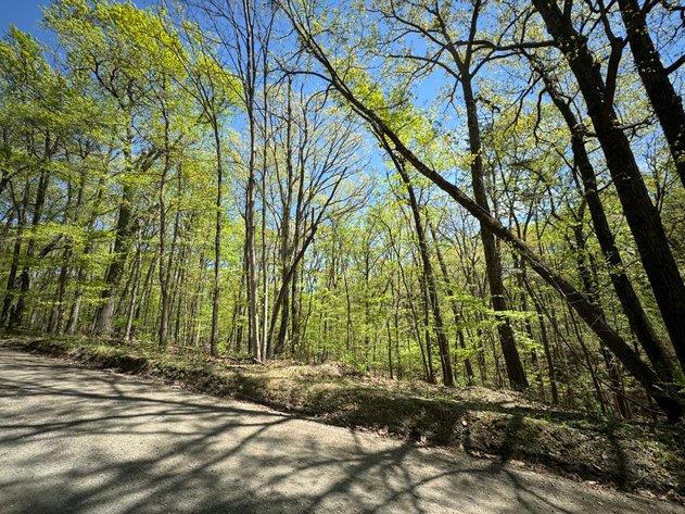 Image for Clarke County, VA Sale of Tax Delinquent Real Estate