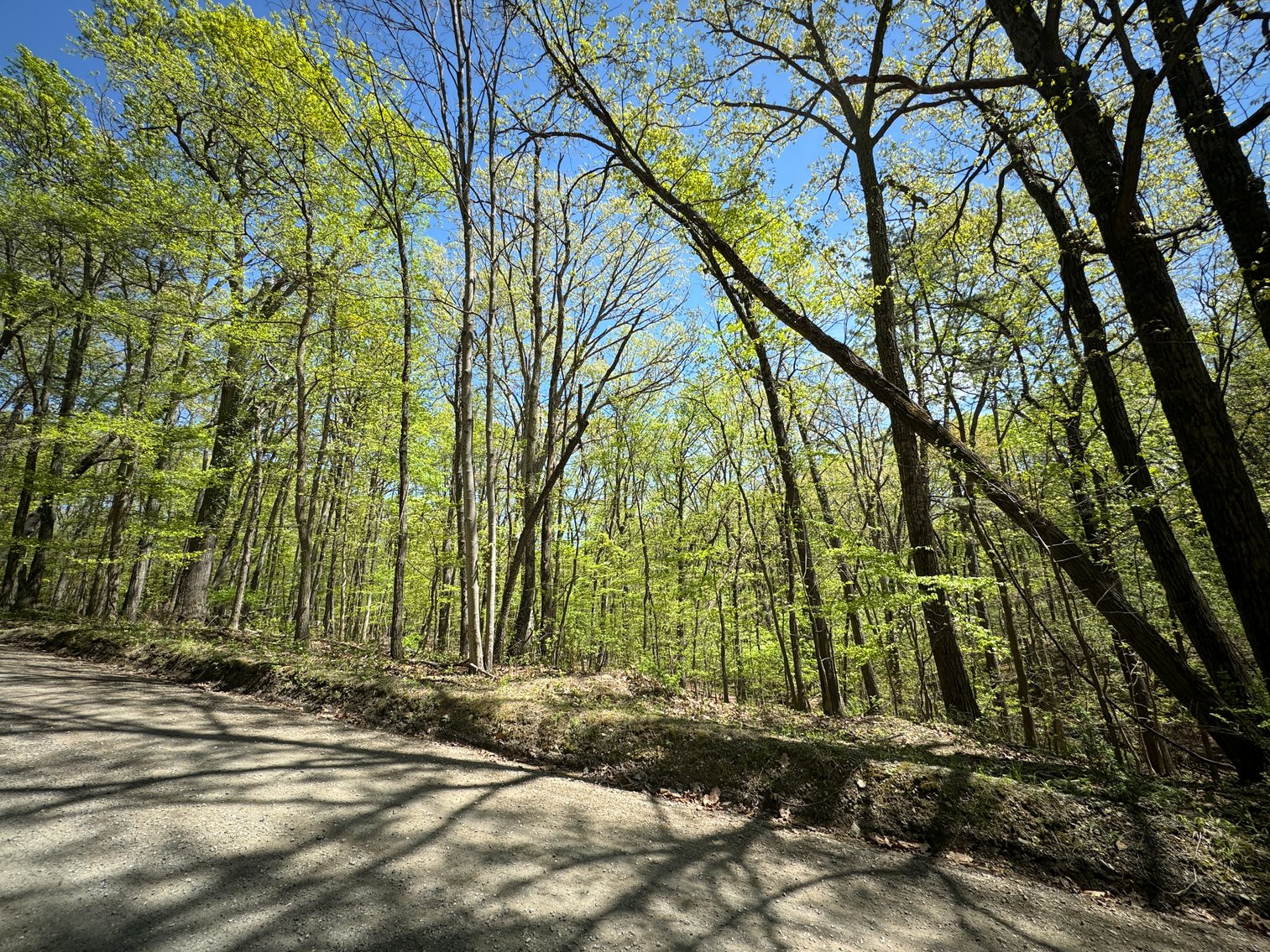 Image for Clarke County, VA Sale of Tax Delinquent Real Estate