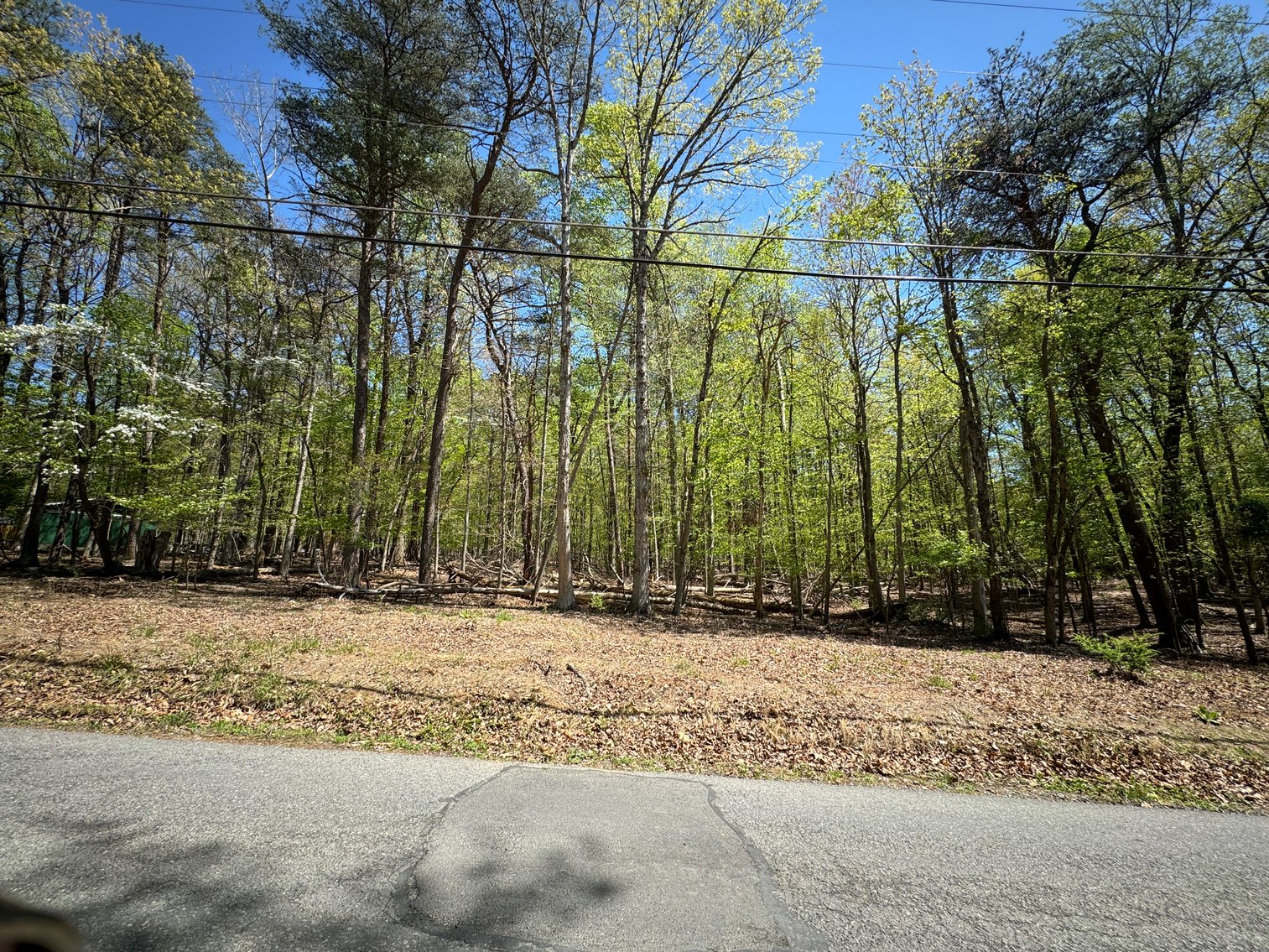 Image for Clarke County, VA Sale of Tax Delinquent Real Estate