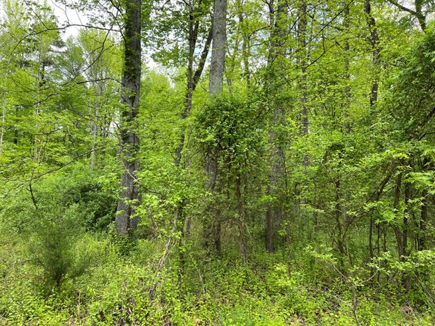 Image for Fairfax County, VA Sale of Tax Delinquent Real Estate