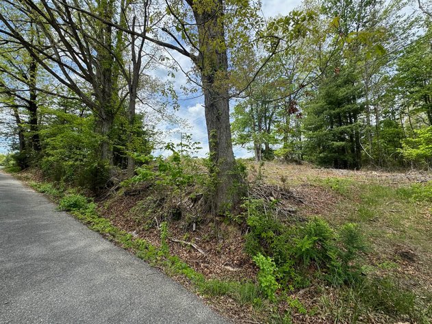 Image for Town of Pulaski, VA Sale of Tax Delinquent Real Estate